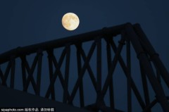 泰勒·莫顿：从红军小将到法甲新星的心路历程，英超冠军的光辉与沮丧交织