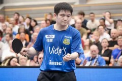 惊心动魄！樊振东22分钟横扫纽汀克，德甲首取3-0豪夺三连胜