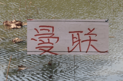 有排面！U23国足上了《新闻联播》 曼联B费再次入选英超单轮MVP