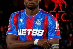 BBC：水晶宫主席下午3点批准格伊去体检，6点健身完才与格伊会面